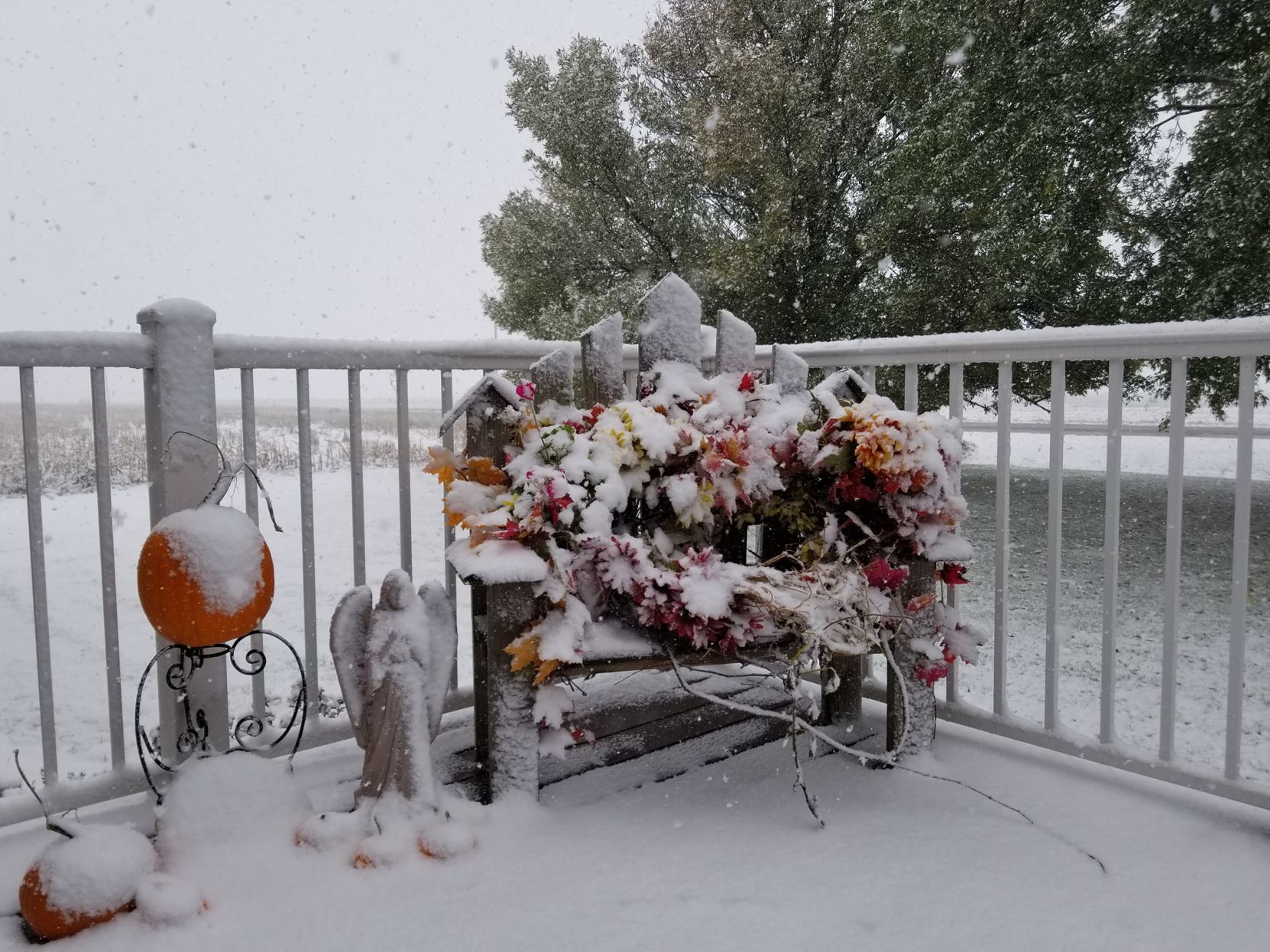 Snow, 10/14